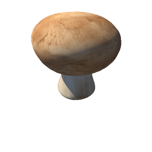 Mushroom (Champiñón seta)